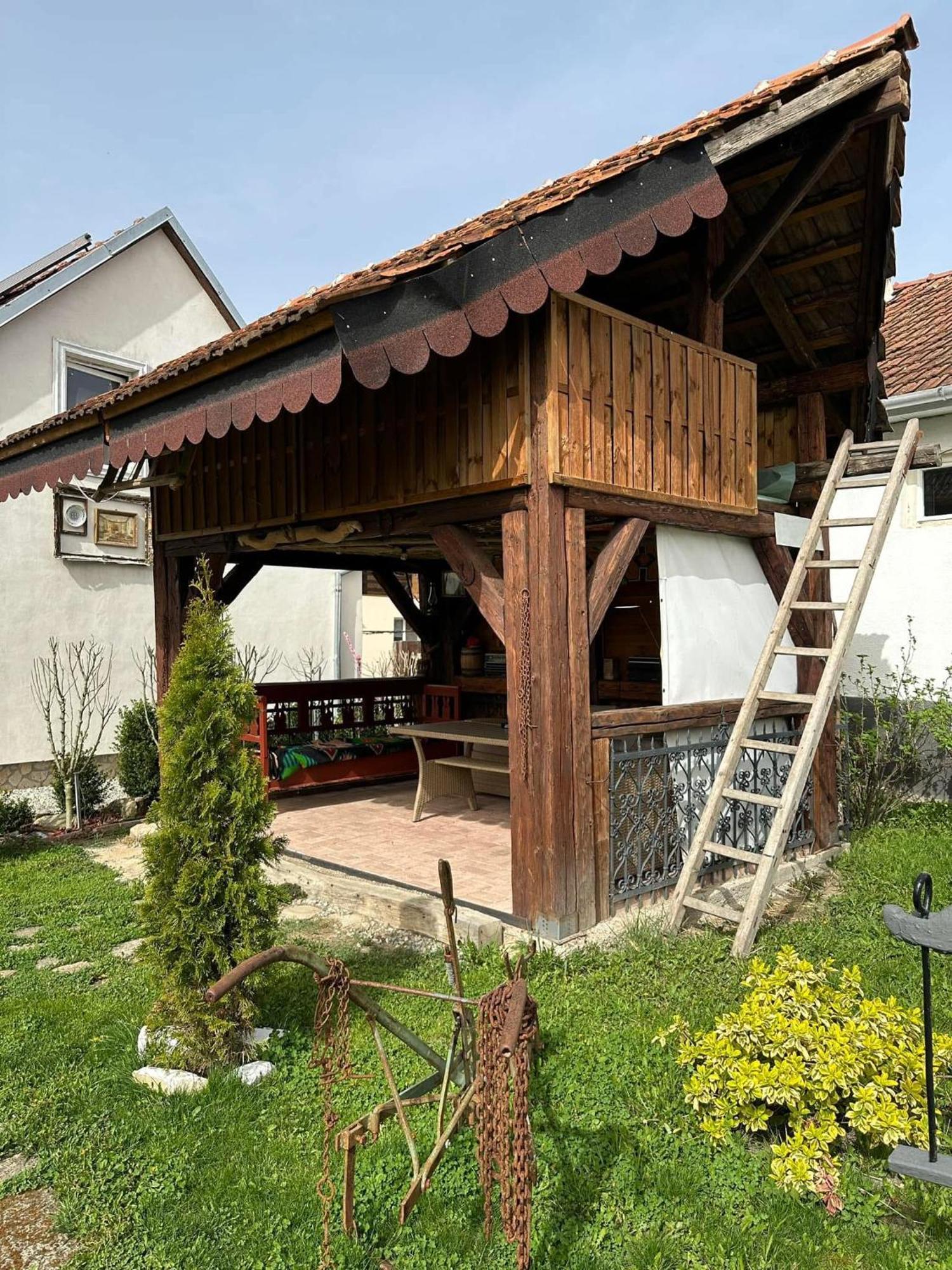 Apartamento Casa Cezara Silvasu de Jos Exterior foto