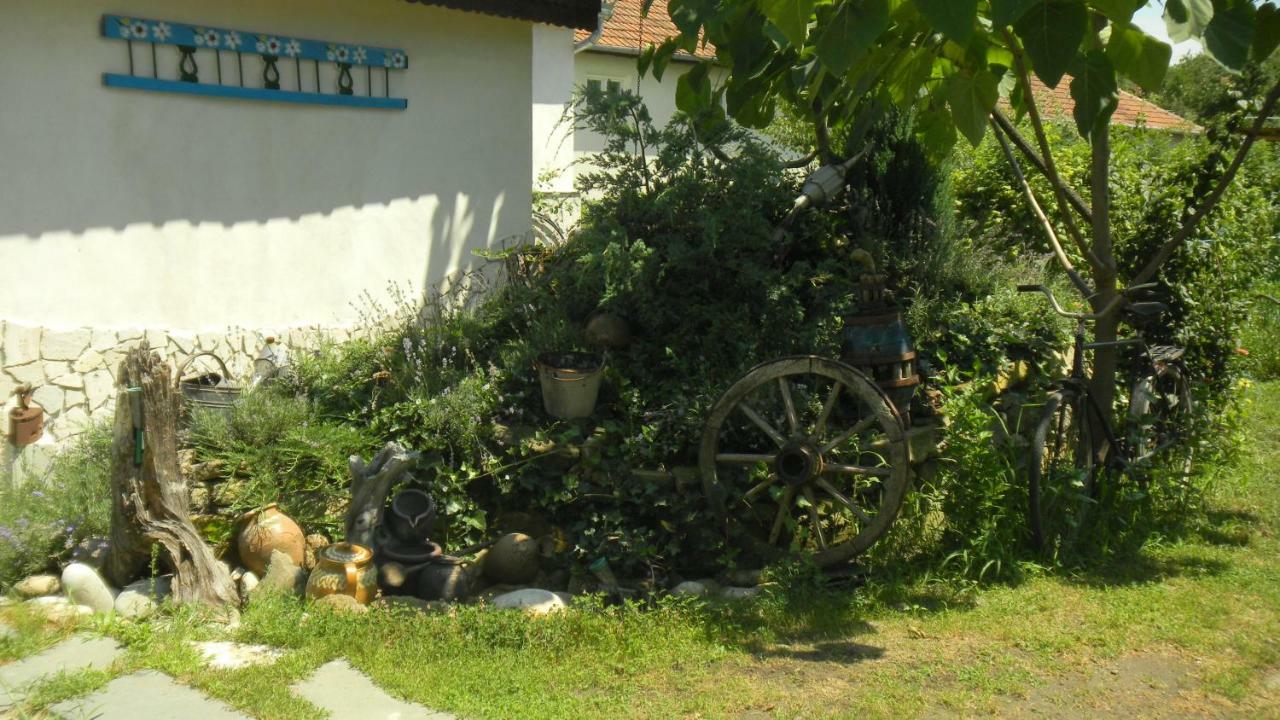 Apartamento Casa Cezara Silvasu de Jos Exterior foto